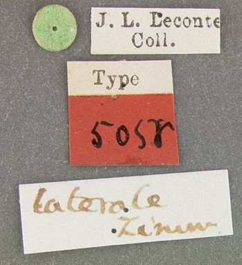 Media type: image;   Entomology 5058 Aspect: labels